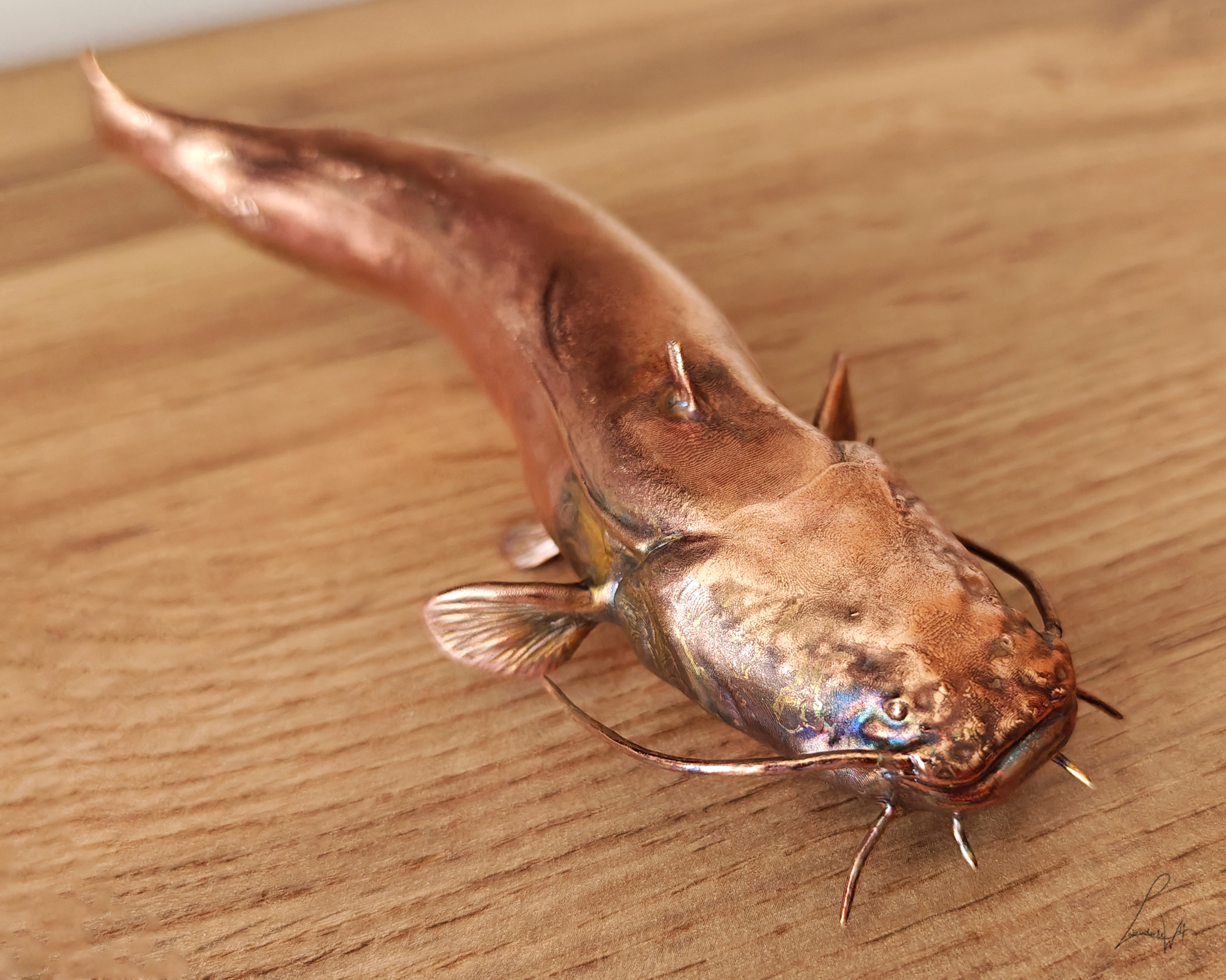 Wels Catfish